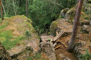 arruinado de madeira Escadaria em a abandonado caminho dentro uma montanha floresta foto