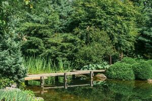 ziguezague ponte sobre uma lagoa dentro japonês jardim foto