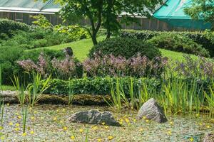 japonês jardim Próximo para a estufa complexo foto