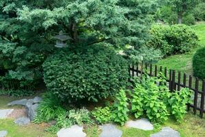 japonês jardim panorama com pedra lanterna debaixo pinho árvore foto