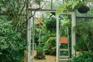 interior do uma ampla estufa com uma coleção do samambaias foto