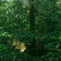 interior do uma ampla tropical estufa com uma decorativo piscina e uma tridacna Concha foto