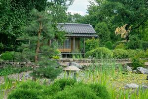 chá casa atrás lagoa dentro japonês jardim foto