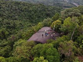 ai gerado uma floresta com árvores e uma montanha dentro a fundo foto