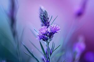 ai gerado uma fechar acima do uma roxa flor com embaçado fundo foto