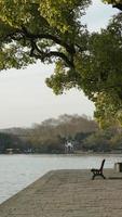 a bela paisagem de xihu com a velha ponte em arco e a torre do templo em Hangzhou, na China, no inverno foto