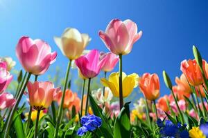 ai gerado uma primavera cena apresentando vibrante flores, evocando a frescor do a estação para publicidade felicidade foto