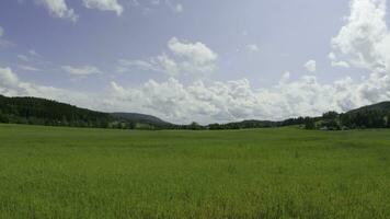 natureza espaço de tempo. lindo verão panorama espaço de tempo. floresta, verde campo, azul céu com nuvens e estrada espaço de tempo foto