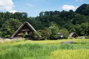 vista de uma área rural no japão. casa de madeira tradicional em shirakawa go, japão foto