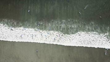 a aéreo Visão do surfistas esperando para uma onda dentro a oceano em uma Claro dia. aéreo Visão do surfista em enorme indiano oceano aceno. surfistas em a de praia topo Visão foto