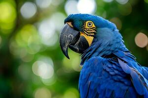 ai gerado adorável pose do vívido azul jacinto arara com embaçado verde floresta foto