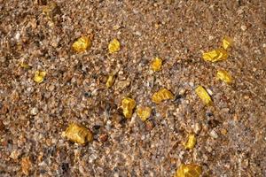 minério de pepita de ouro puro encontrado na mina com fontes subaquáticas naturais foto