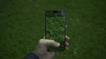 China, Pequim - setembro 15, 2023. Iphone 15 pró tela tiroteio grama. Ação. fechar-se do telefone exibição levando As fotos do natureza. Claro imagem em tela do tiroteio telefone