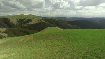 topo Visão do colinas com verde Relva e escasso floresta. tomada. lindo panorama com panorama do montanha colinas e verde Relva em ensolarado verão dia. colinas com verde Relva e escasso floresta em foto