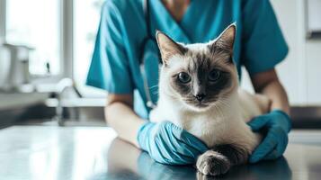 ai gerado generativo ai, fofa gato ser examinado de profissional veterinário dentro veterinario clínica foto