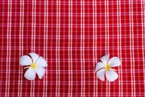 flores de plumeria brancas amarelas sobre um fundo de pano xadrez vermelho. copie o espaço. foto