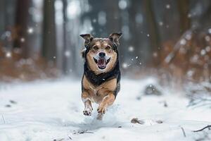 ai gerado feliz corrida cachorro em inverno neve floresta foto