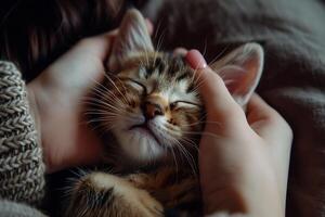 ai gerado feliz gatinho curtidas ser acariciado de mulher mão foto