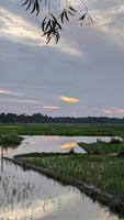 pôr do sol no céu azul. céu azul com algumas nuvens. nuvens de céu azul, céu de verão, céu azul nublado foto