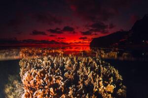 tropical marinha com coral embaixo da agua e colorida pôr do sol ou nascer do sol em a Beira Mar, Dividido Visão com artificial luz dentro francês Polinésia foto