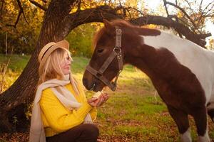 mulher e visto Castanho pónei às pôr do sol dentro floresta, lindo menina dentro outono roupas O amor é dela cavalo, conceito do gentileza, animal Cuidado, natureza e amizade. retrato. foto