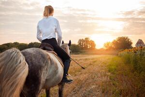 mulher O amor é uma cavalo. amor e amizade para a animal, Cuidado foto