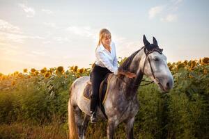 mulher O amor é uma cavalo. amor e amizade para a animal, Cuidado foto