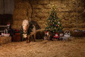 Natal decorações em a estábulos foto