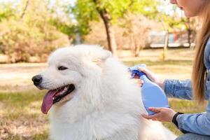 amor, amizade, carinhoso para animais. foto