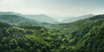 ai gerado uma grande verde floresta em a lado do uma montanha foto