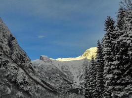 dirigindo ao nascer do sol através de montanhas e florestas na Noruega. foto