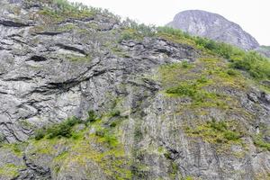 textura de falésias de grandes rochas com árvores na Noruega. foto