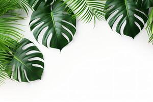 ai gerado foto verde tropical Palma folhas monstera em branco fundo generativo ai