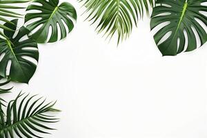 ai gerado foto verde tropical Palma folhas monstera em branco fundo generativo ai