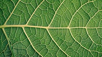 ai gerado generativo ai, macro textura do verde folha veias, verde folhagem textura, ecologia fundo foto