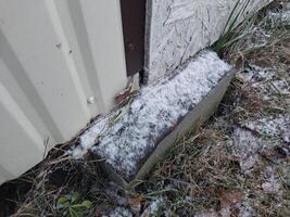 neve caiu em jardim Itens dentro a Vila foto