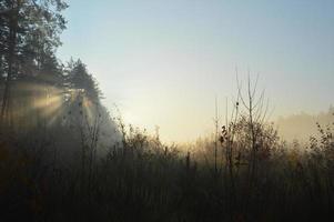 o sol da manhã nasce no horizonte na floresta e na aldeia foto