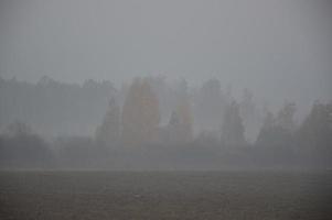 nevoeiro matinal e neblina na floresta e na aldeia foto