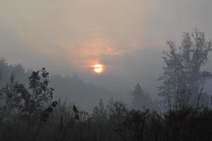 o sol da manhã nasce no horizonte na floresta e na aldeia