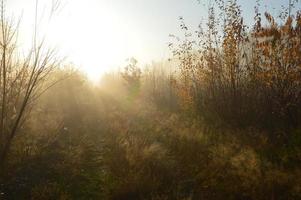 o sol da manhã nasce no horizonte na floresta e na aldeia foto