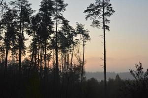 nevoeiro matinal e neblina na floresta e na aldeia foto