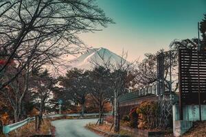 montar Fuji com murchar árvore jardim dentro outono às kawaguchiko foto