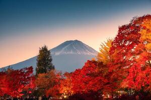 montar Fuji com colorida bordo folhas dentro outono e luz acima Momiji túnel às kawaguchiko lago, Japão foto