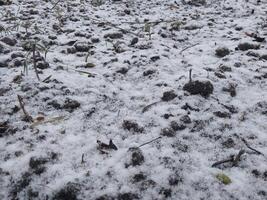 textura do caído neve em objetos foto