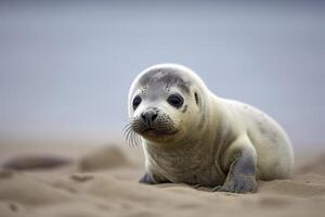 ai gerado Porto foca filhote. ai gerado foto