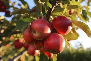 ai gerado fechar acima maçã fruta em árvore. ai gerado foto