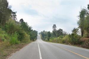 estrada com morro acima e descida declives conduzindo em linha reta à frente. em ambos lados do a estrada estão preenchidas com verde florestas e grama. a caminho conduz para chae filho nacional parque tailândia. foto