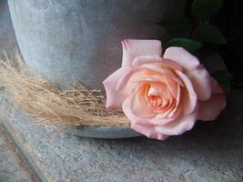 uma Rosa rosa sentado em uma cinzento vaso foto