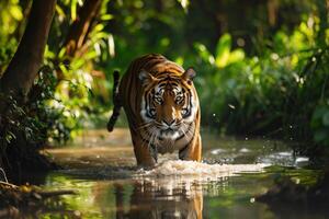 ai gerado uma ampla masculino tigre caminhando através uma rio dentro a floresta, ético preocupações foto