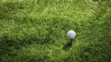 golfe bola fechar acima em tee Relva em borrado lindo panorama do golfe fundo. conceito internacional esporte este contar com em precisão Habilidades para saúde relaxamento foto